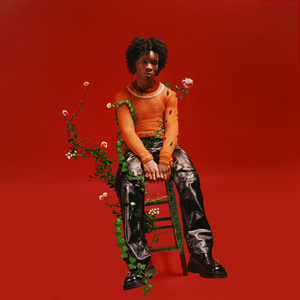 国产麻豆视频网站
