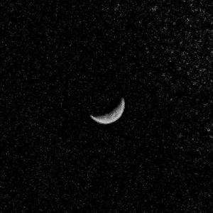 国产麻豆视频网站
